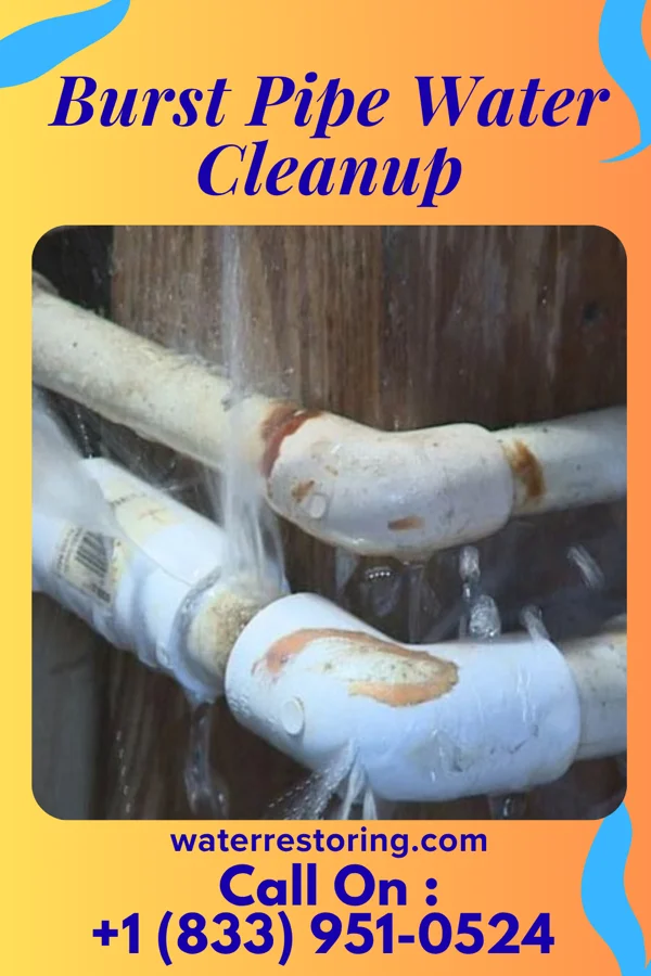 Burst Pipe Water Cleanup in Eldorado, IL